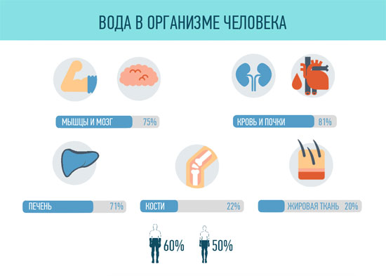 польза воды для организма
