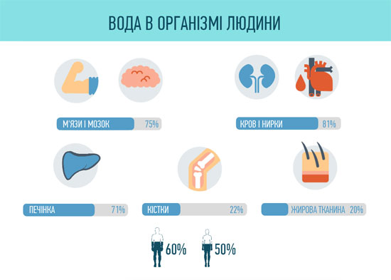 користь води для організму