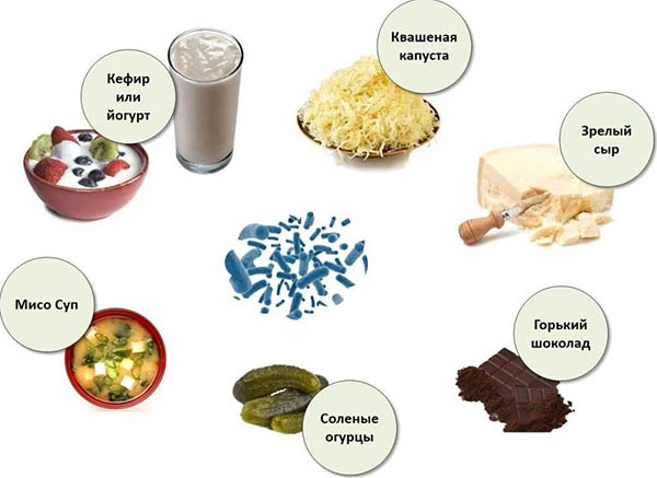 источники пробиотиков и пребиотиков